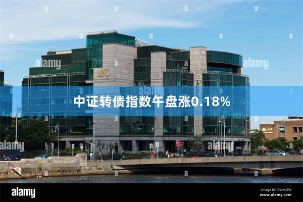 中证转债指数午盘涨0.18%