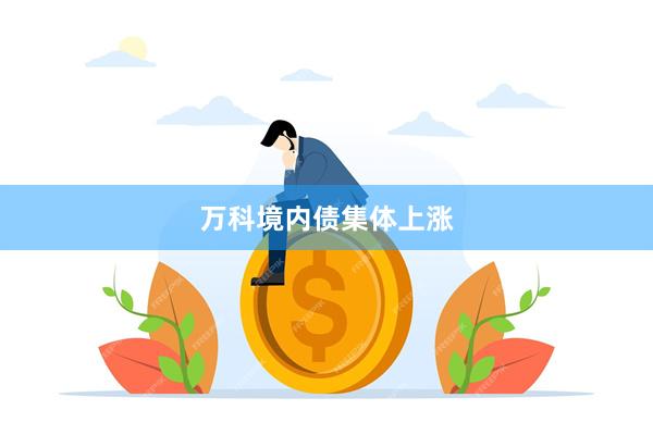 万科境内债集体上涨