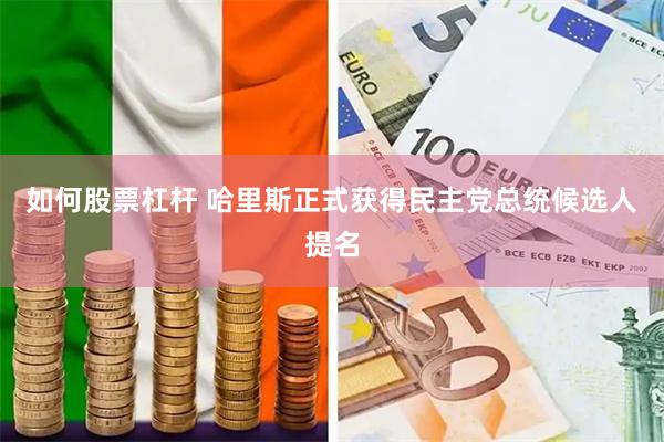 如何股票杠杆 哈里斯正式获得民主党总统候选人提名
