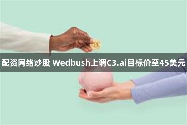 配资网络炒股 Wedbush上调C3.ai目标价至45美元