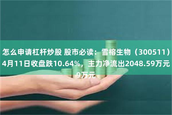 怎么申请杠杆炒股 股市必读：雪榕生物（300511）4月11日收盘跌10.64%，主力净流出2048.59万元