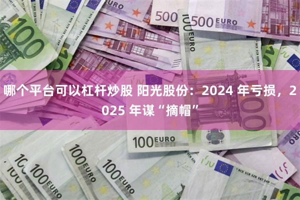 哪个平台可以杠杆炒股 阳光股份：2024 年亏损，2025 年谋“摘帽”