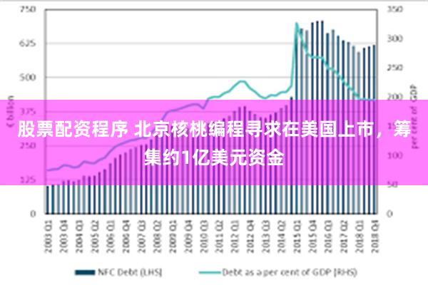 股票配资程序 北京核桃编程寻求在美国上市，筹集约1亿美元资金