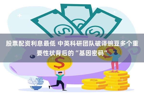 股票配资利息最低 中英科研团队破译豌豆多个重要性状背后的“基因密码”