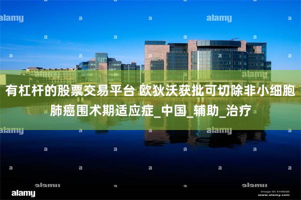 有杠杆的股票交易平台 欧狄沃获批可切除非小细胞肺癌围术期适应症_中国_辅助_治疗
