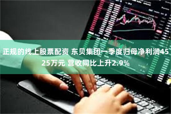 正规的线上股票配资 东贝集团一季度归母净利润4525万元 营收同比上升2.9%