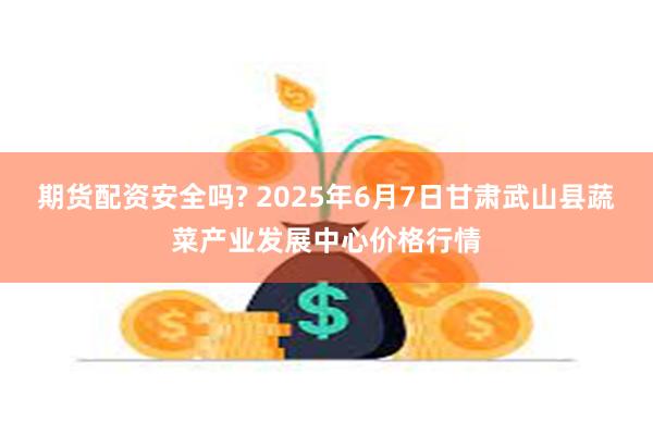 期货配资安全吗? 2025年6月7日甘肃武山县蔬菜产业发展中心价格行情
