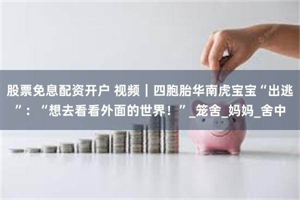 股票免息配资开户 视频｜四胞胎华南虎宝宝“出逃”：“想去看看外面的世界！”_笼舍_妈妈_舍中