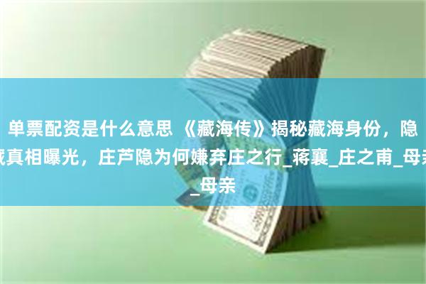 单票配资是什么意思 《藏海传》揭秘藏海身份，隐藏真相曝光，庄芦隐为何嫌弃庄之行_蒋襄_庄之甫_母亲