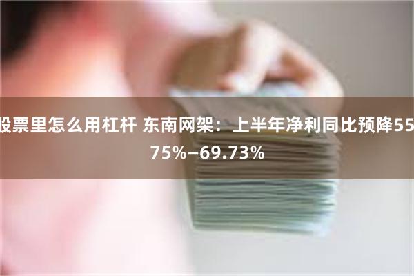 股票里怎么用杠杆 东南网架：上半年净利同比预降55.75%—69.73%