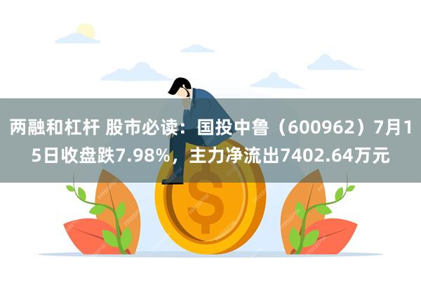 两融和杠杆 股市必读：国投中鲁（600962）7月15日收盘跌7.98%，主力净流出7402.64万元