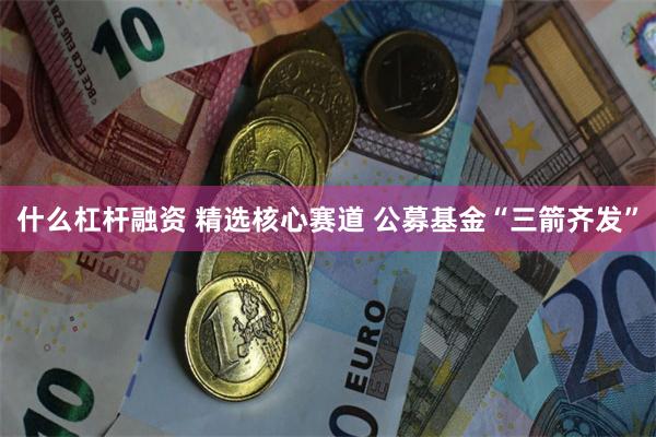 什么杠杆融资 精选核心赛道 公募基金“三箭齐发”