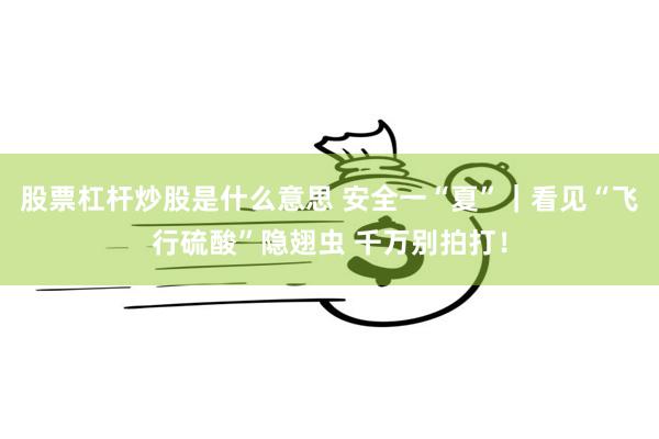 股票杠杆炒股是什么意思 安全一“夏”｜看见“飞行硫酸”隐翅虫 千万别拍打！