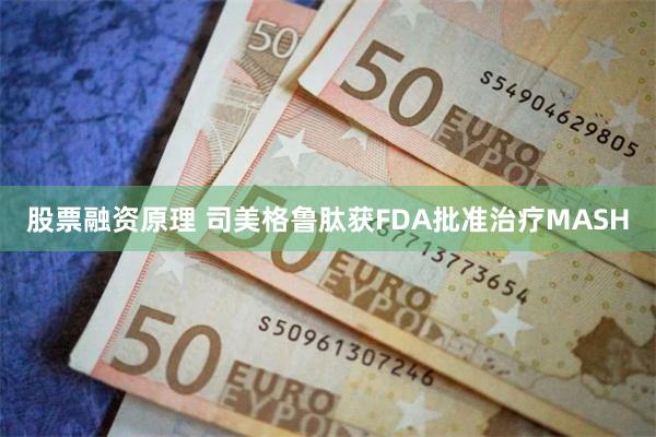 股票融资原理 司美格鲁肽获FDA批准治疗MASH